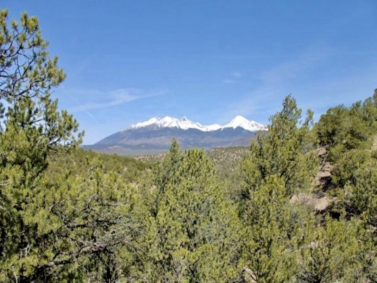 Picture of Residential Land For Sale in Fort Garland, Colorado, United States