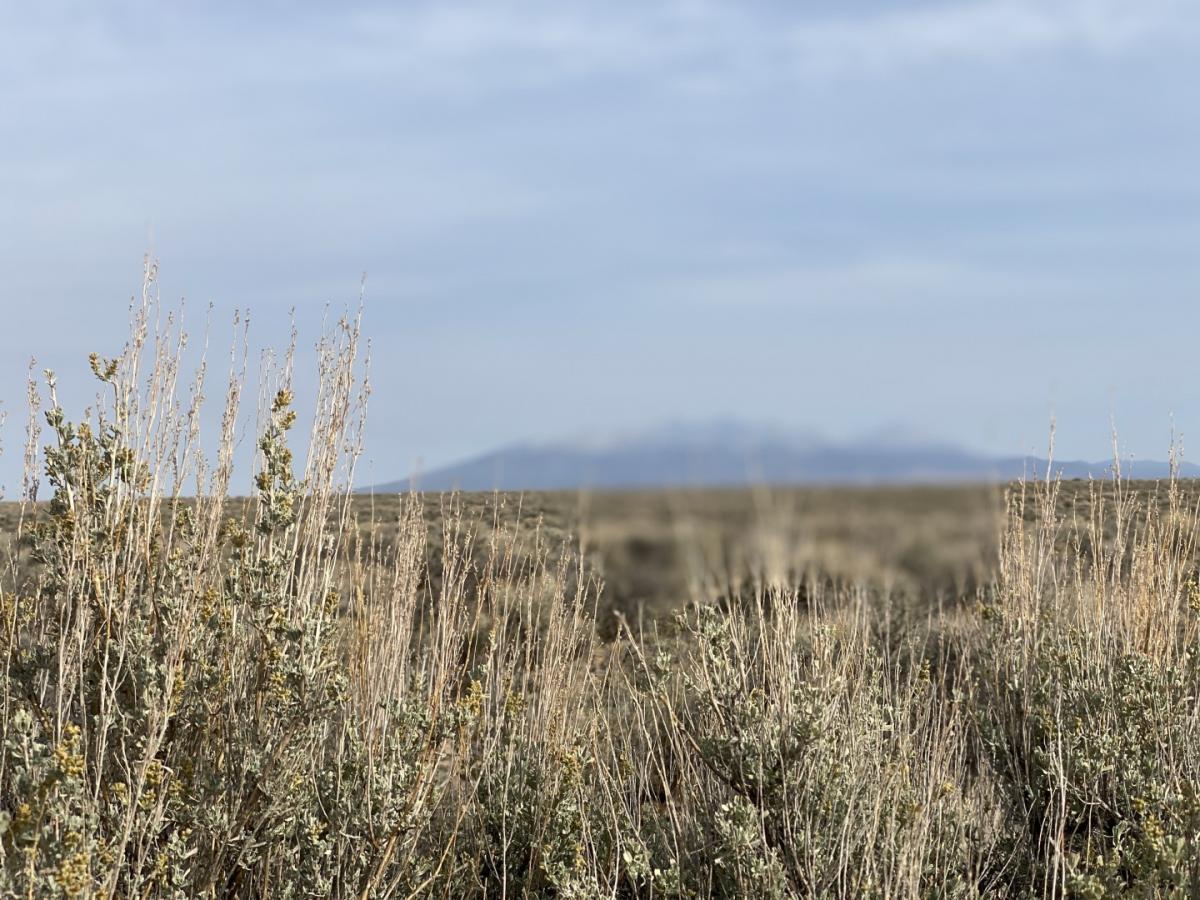 Picture of Residential Land For Sale in San Luis, Colorado, United States