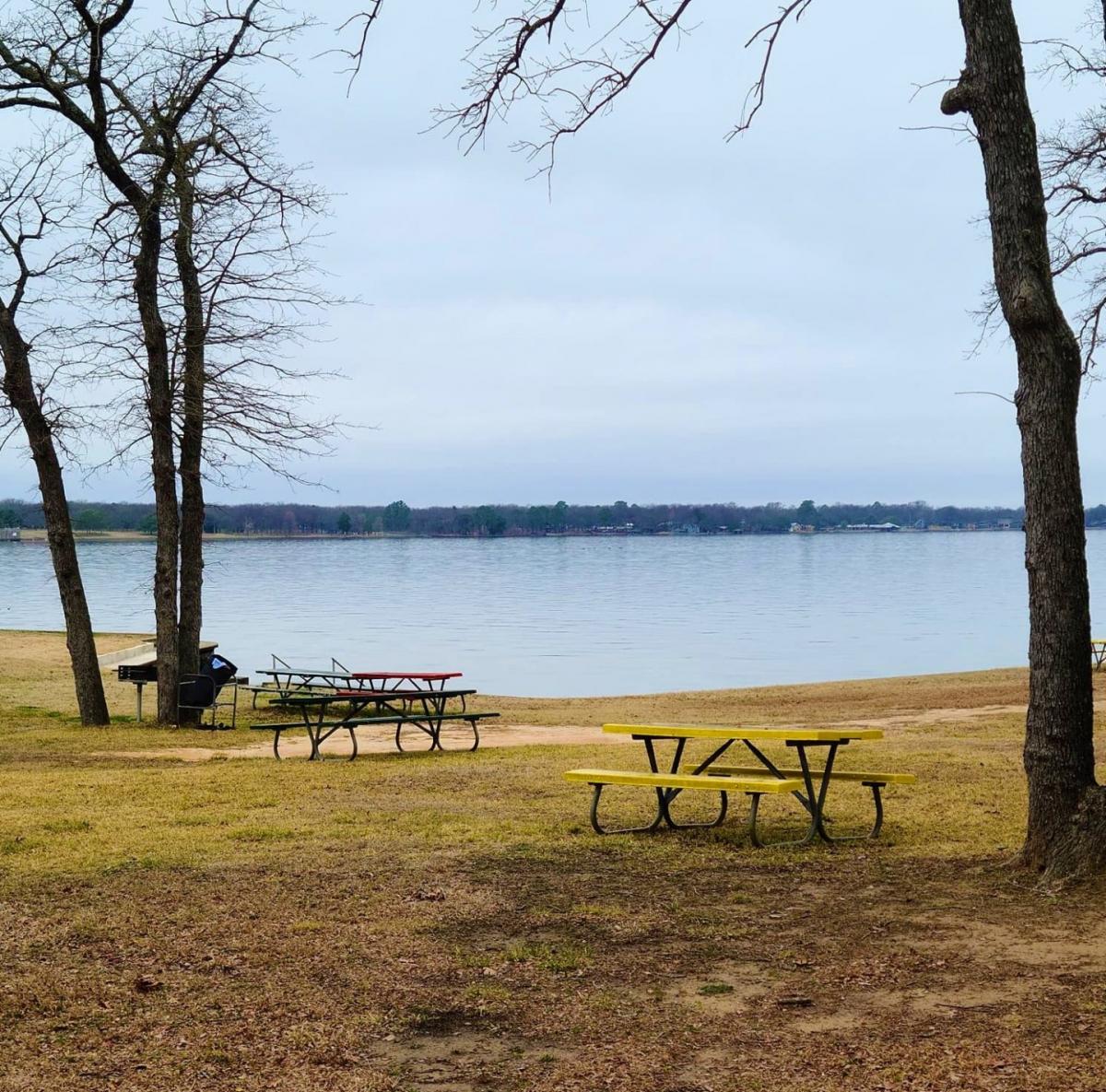 Picture of Residential Land For Sale in Trinidad, Texas, United States