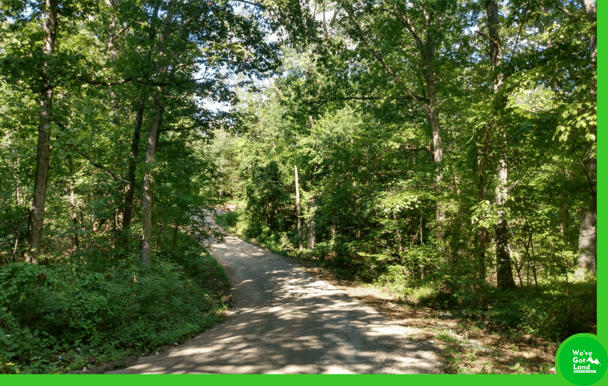 Picture of Residential Land For Sale in Williford, Arkansas, United States