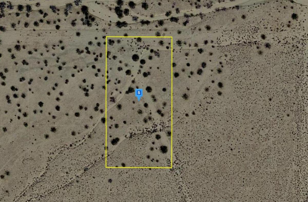 Picture of Residential Land For Sale in Hackberry, Arizona, United States