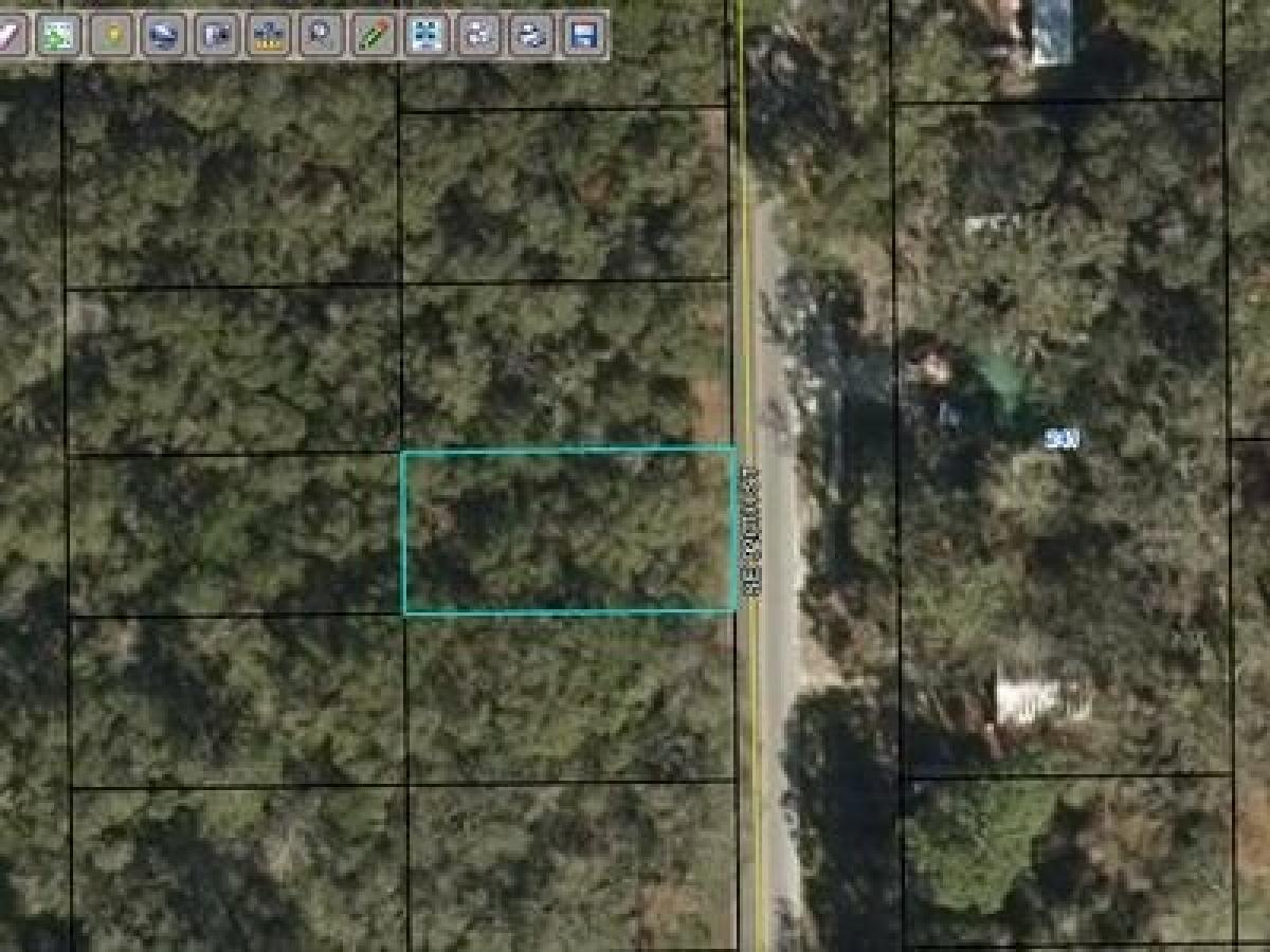 Picture of Residential Land For Sale in Old Town, Florida, United States