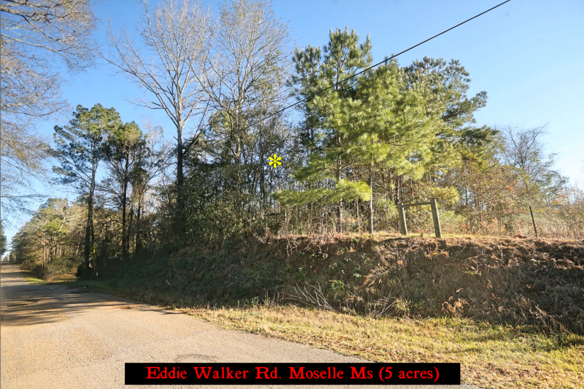 Picture of Residential Land For Sale in Moselle, Mississippi, United States