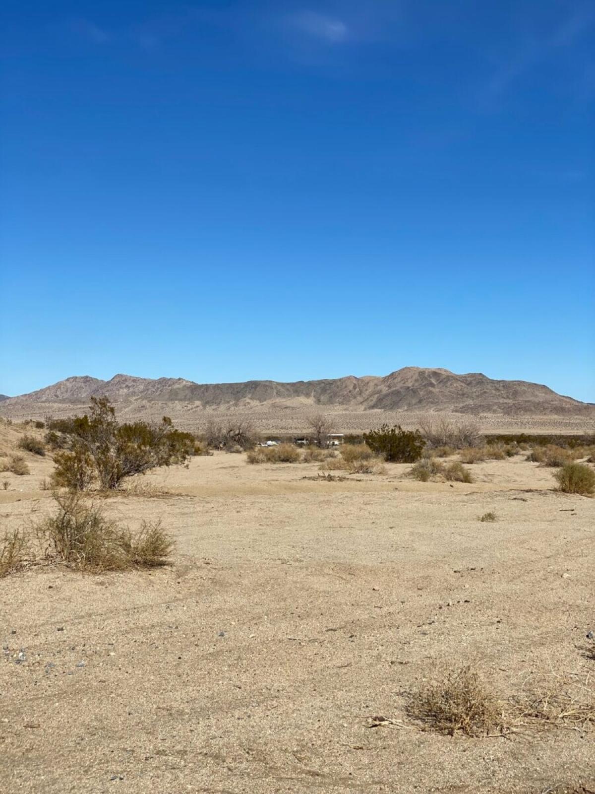 Picture of Residential Land For Sale in Landers, California, United States