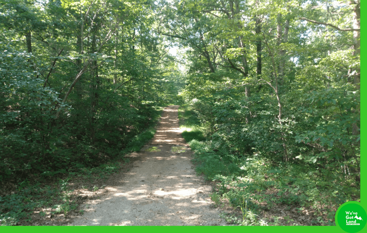 Picture of Residential Land For Sale in Williford, Arkansas, United States