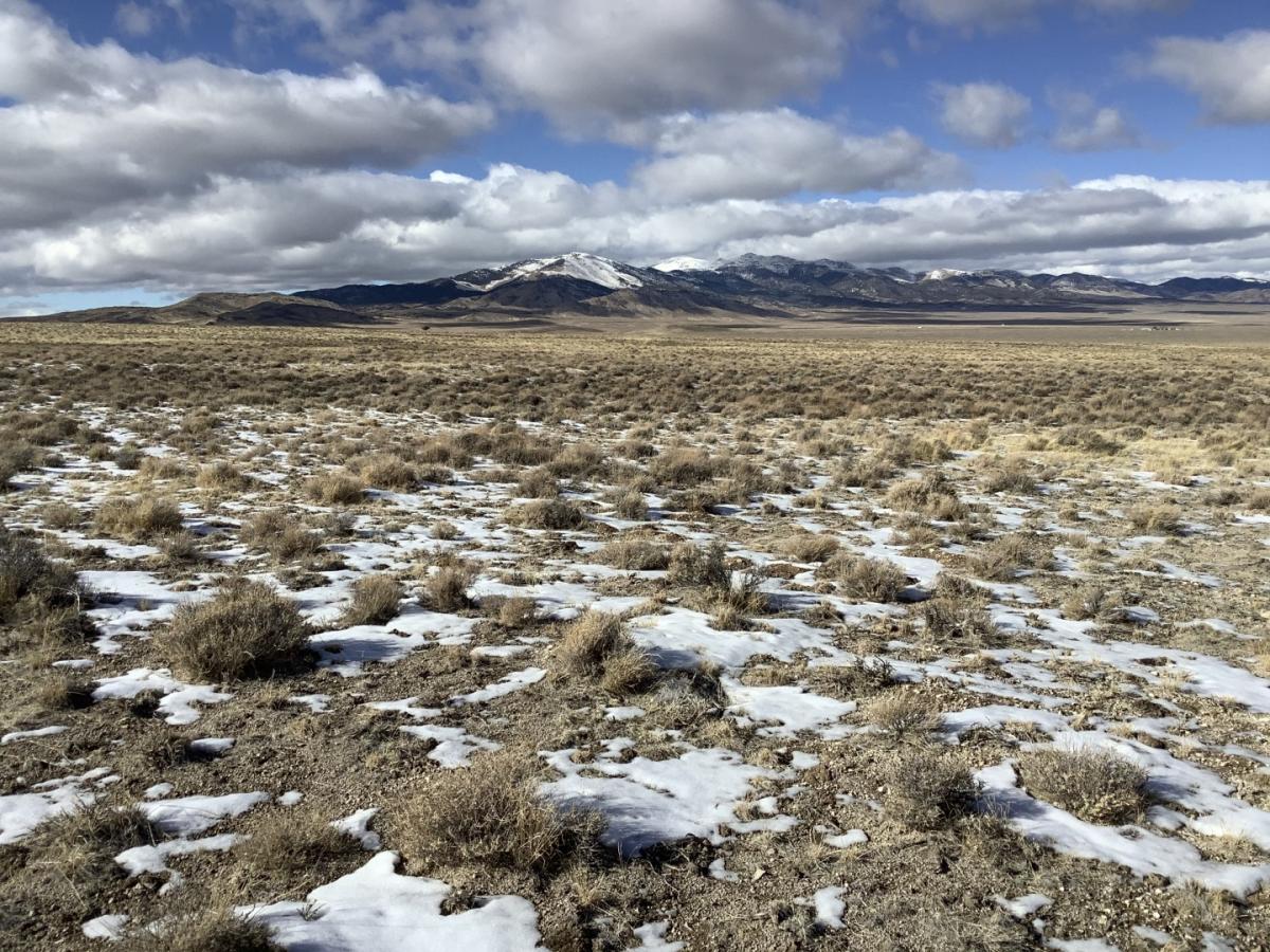 Picture of Residential Land For Sale in Montello, Nevada, United States