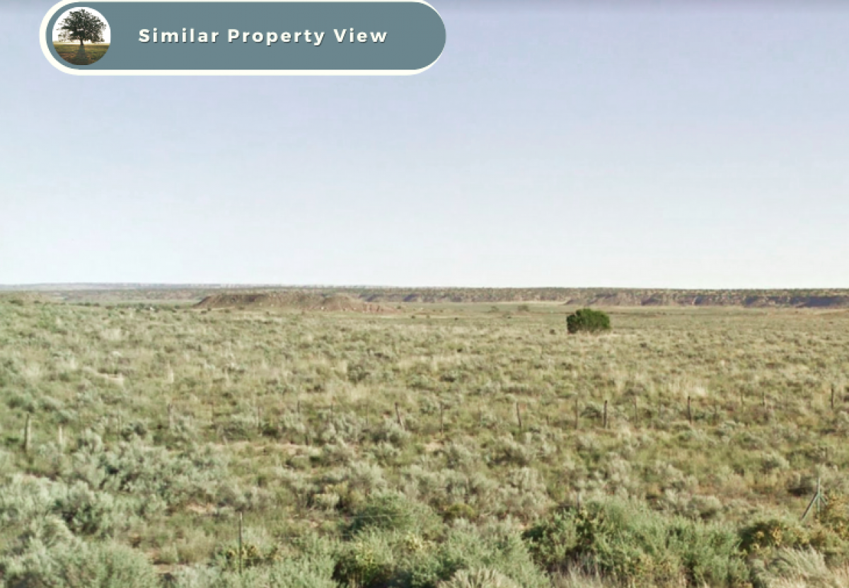 Picture of Residential Land For Sale in Chambers, Arizona, United States