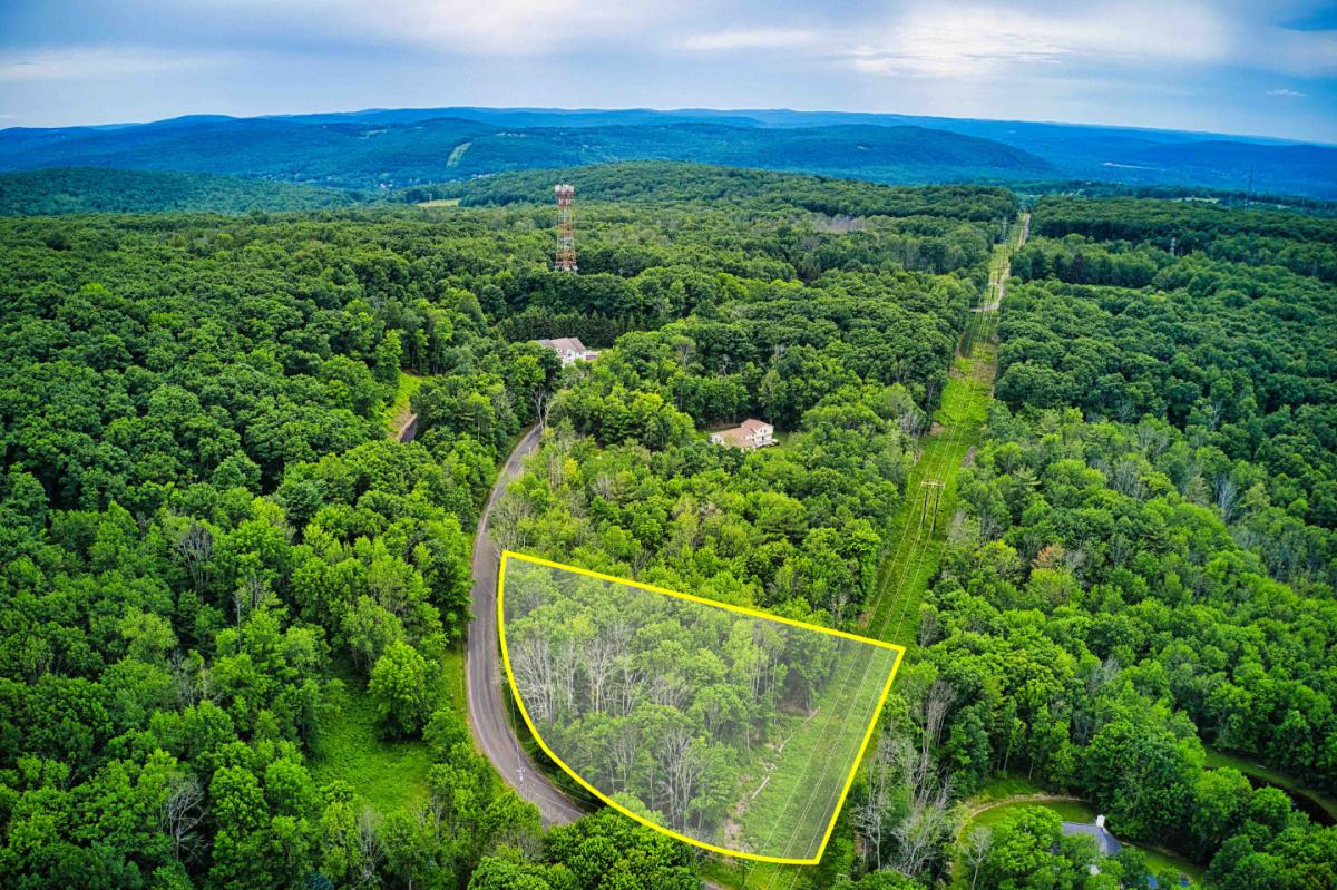 Picture of Residential Land For Sale in Vestal, New York, United States