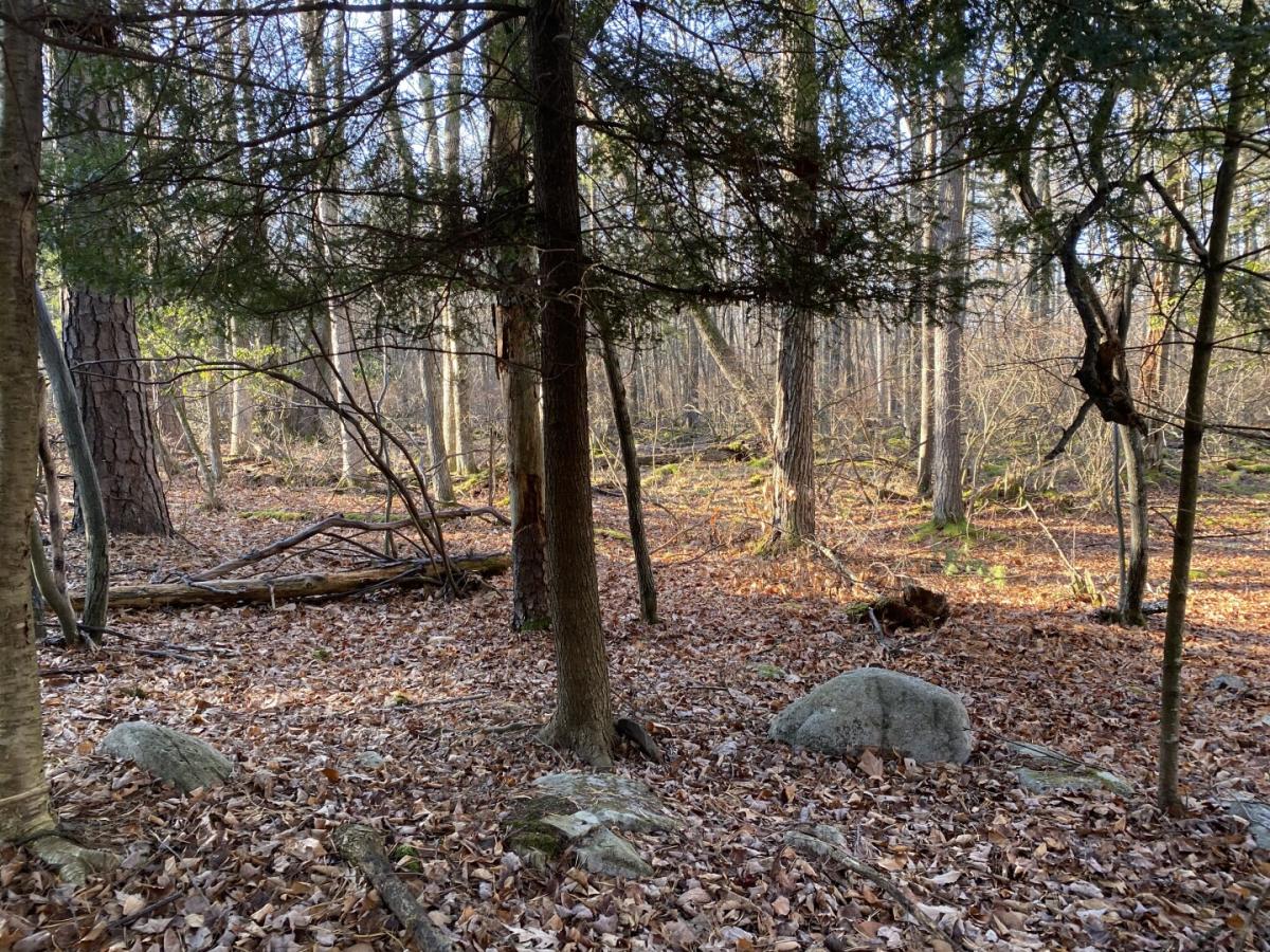 Picture of Residential Land For Sale in Canadensis, Pennsylvania, United States