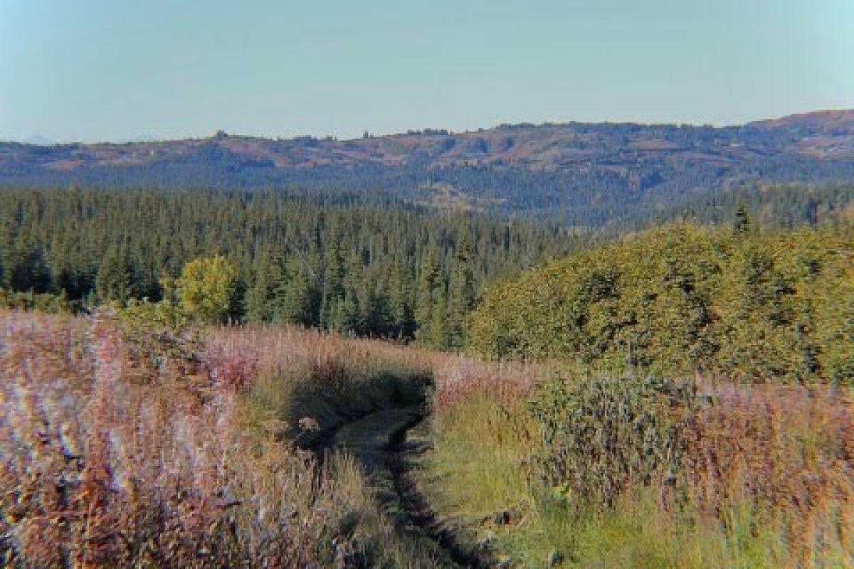 Picture of Residential Land For Sale in Anchor Point, Alaska, United States