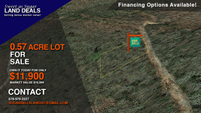 Residential Land For Sale in Dillard, Georgia