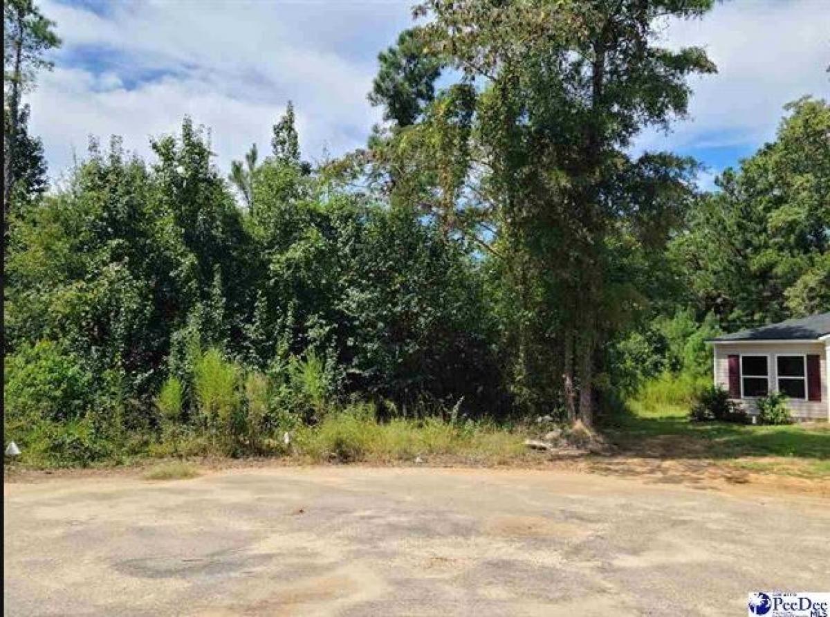 Picture of Residential Land For Sale in Florence, South Carolina, United States