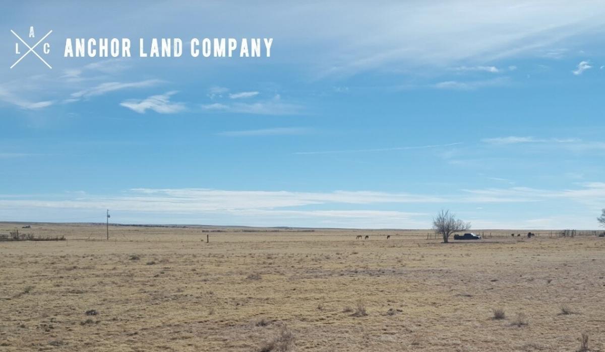 Picture of Residential Land For Sale in Moriarty, New Mexico, United States