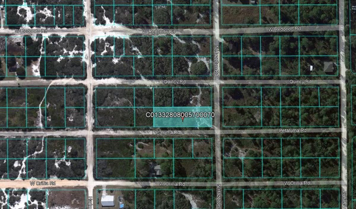 Picture of Residential Land For Sale in Avon Park, Florida, United States