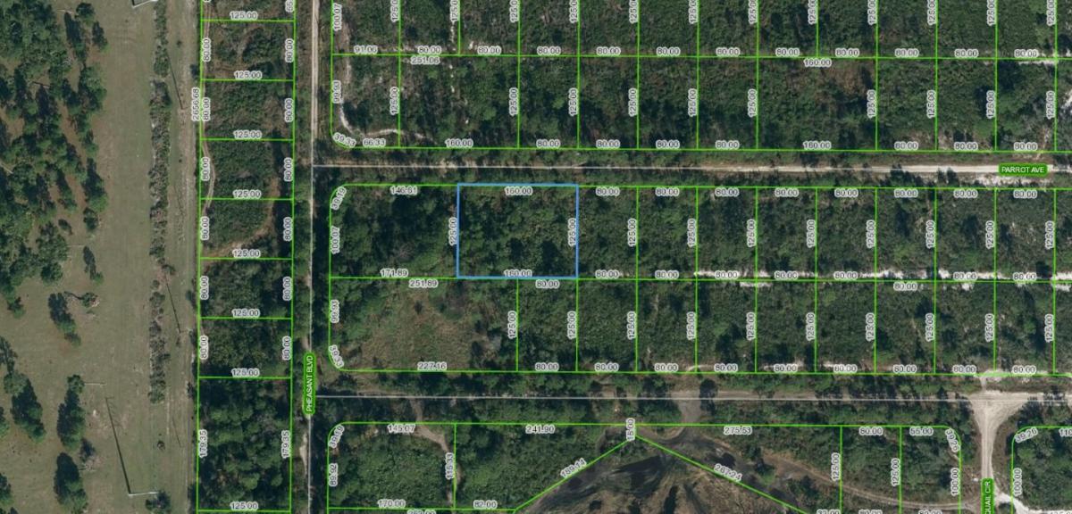 Picture of Residential Land For Sale in Sebring, Florida, United States