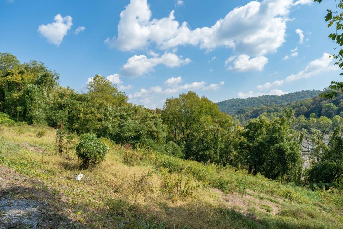 Picture of Residential Land For Sale in Kingsport, Tennessee, United States