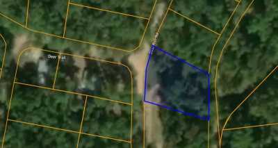 Residential Land For Sale in Williford, Arkansas