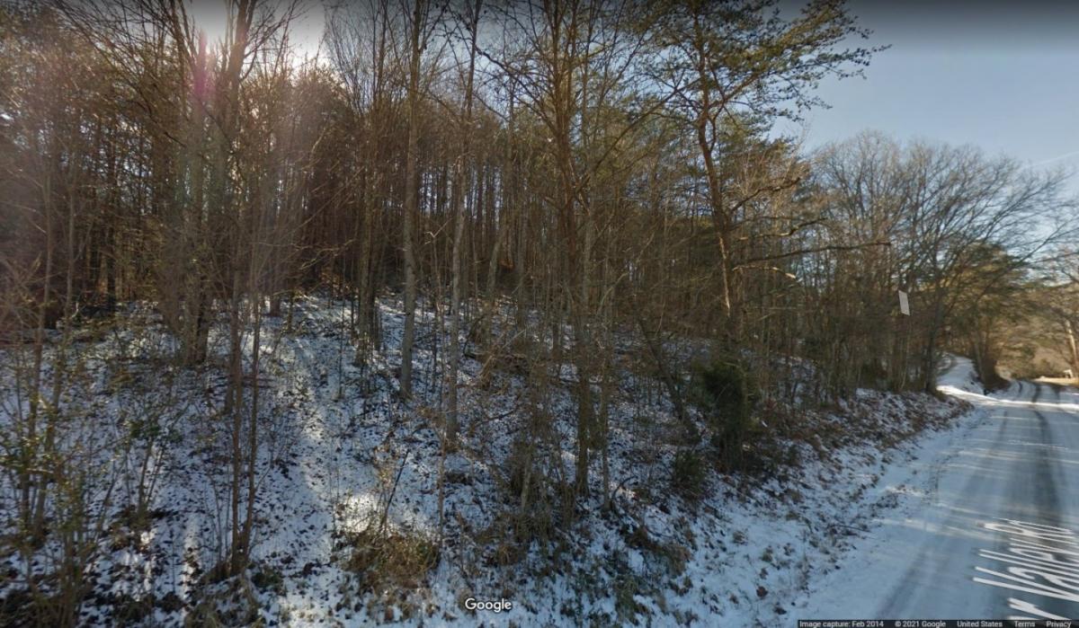 Picture of Residential Land For Sale in Rutledge, Tennessee, United States