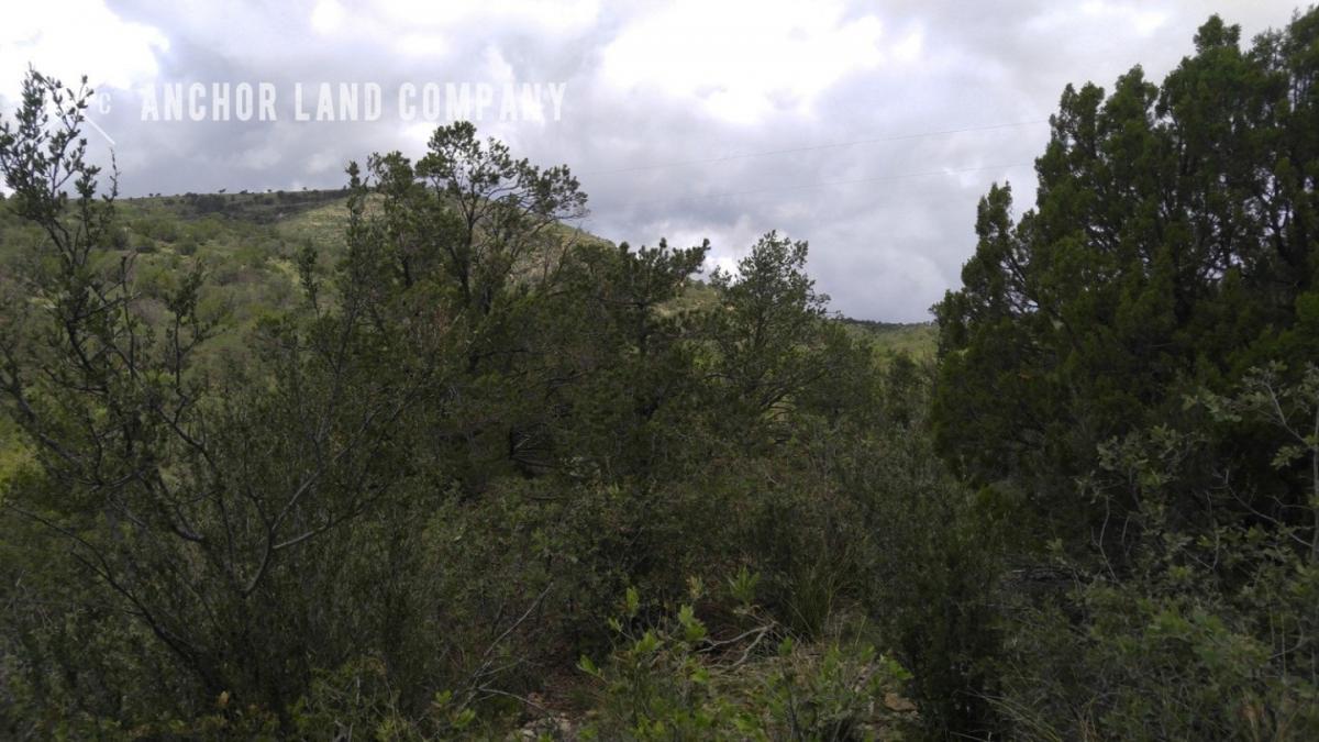 Picture of Residential Land For Sale in Timberon, New Mexico, United States