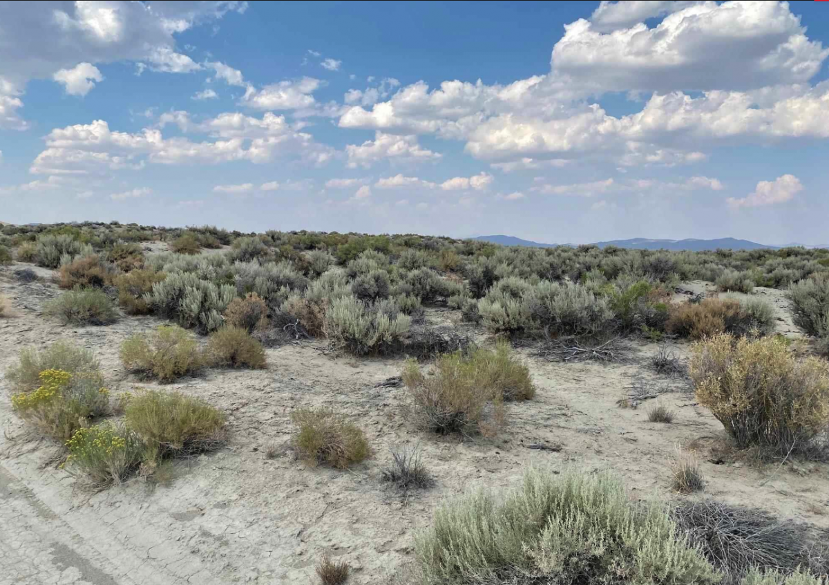 Picture of Residential Land For Sale in Winnemucca, Nevada, United States