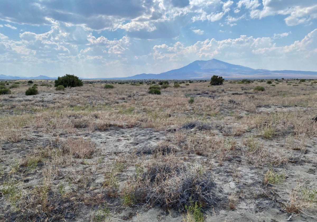 Picture of Residential Land For Sale in Winnemucca, Nevada, United States