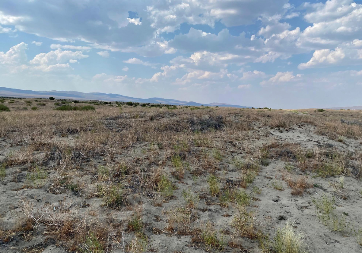 Picture of Residential Land For Sale in Winnemucca, Nevada, United States