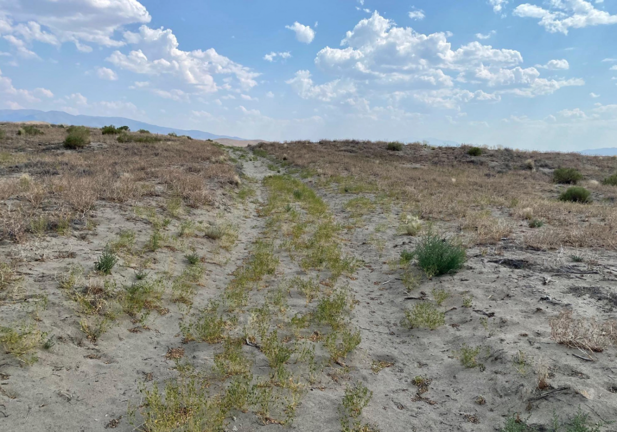 Picture of Residential Land For Sale in Winnemucca, Nevada, United States