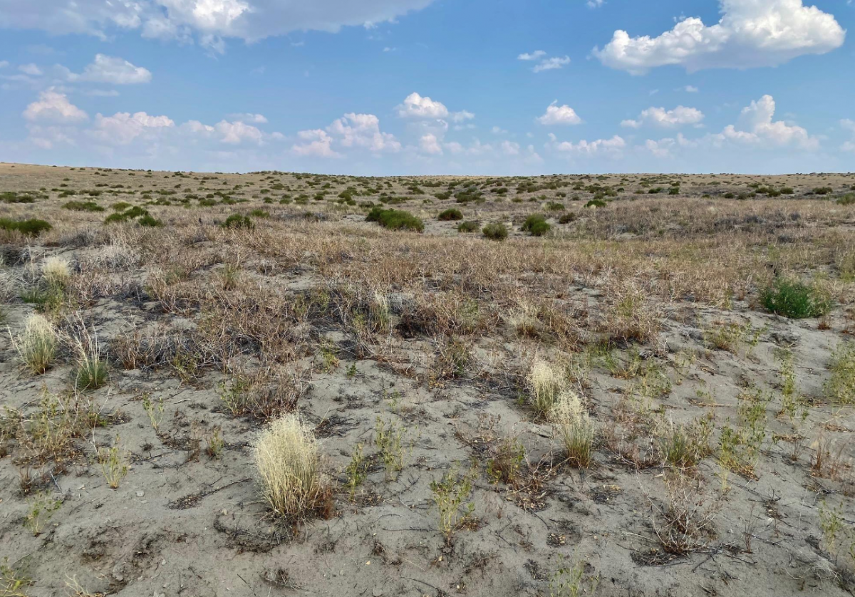 Picture of Residential Land For Sale in Winnemucca, Nevada, United States