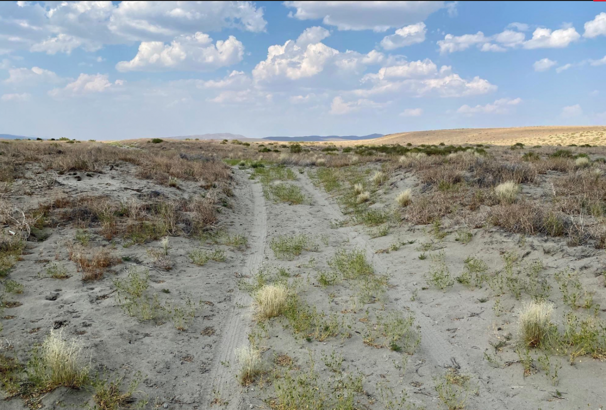 Picture of Residential Land For Sale in Winnemucca, Nevada, United States