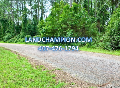 Residential Land For Sale in Citrus Springs, Florida