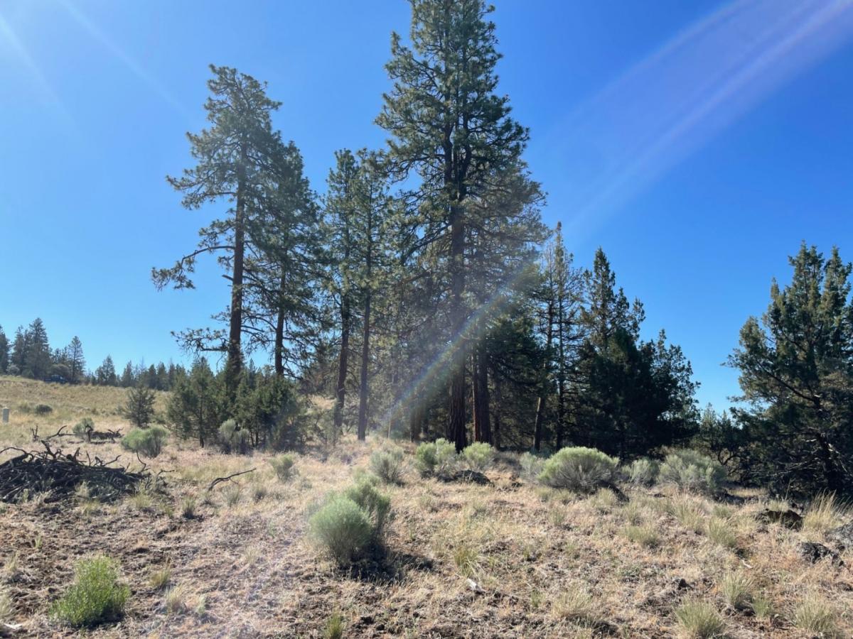 Picture of Residential Land For Sale in Bonanza, Oregon, United States