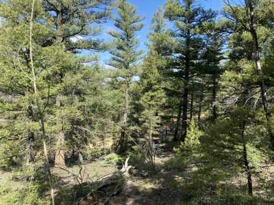 Residential Land For Sale in San Luis, Colorado