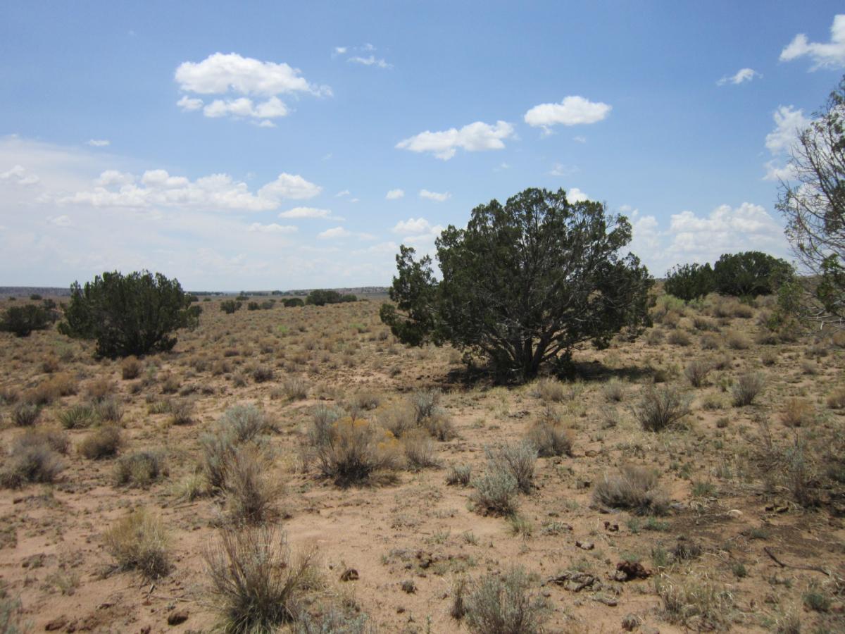 Picture of Residential Land For Sale in Chambers, Arizona, United States