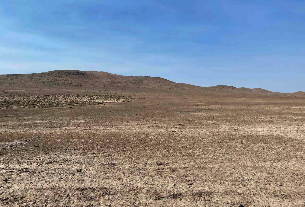 Picture of Residential Land For Sale in Valmy, Nevada, United States