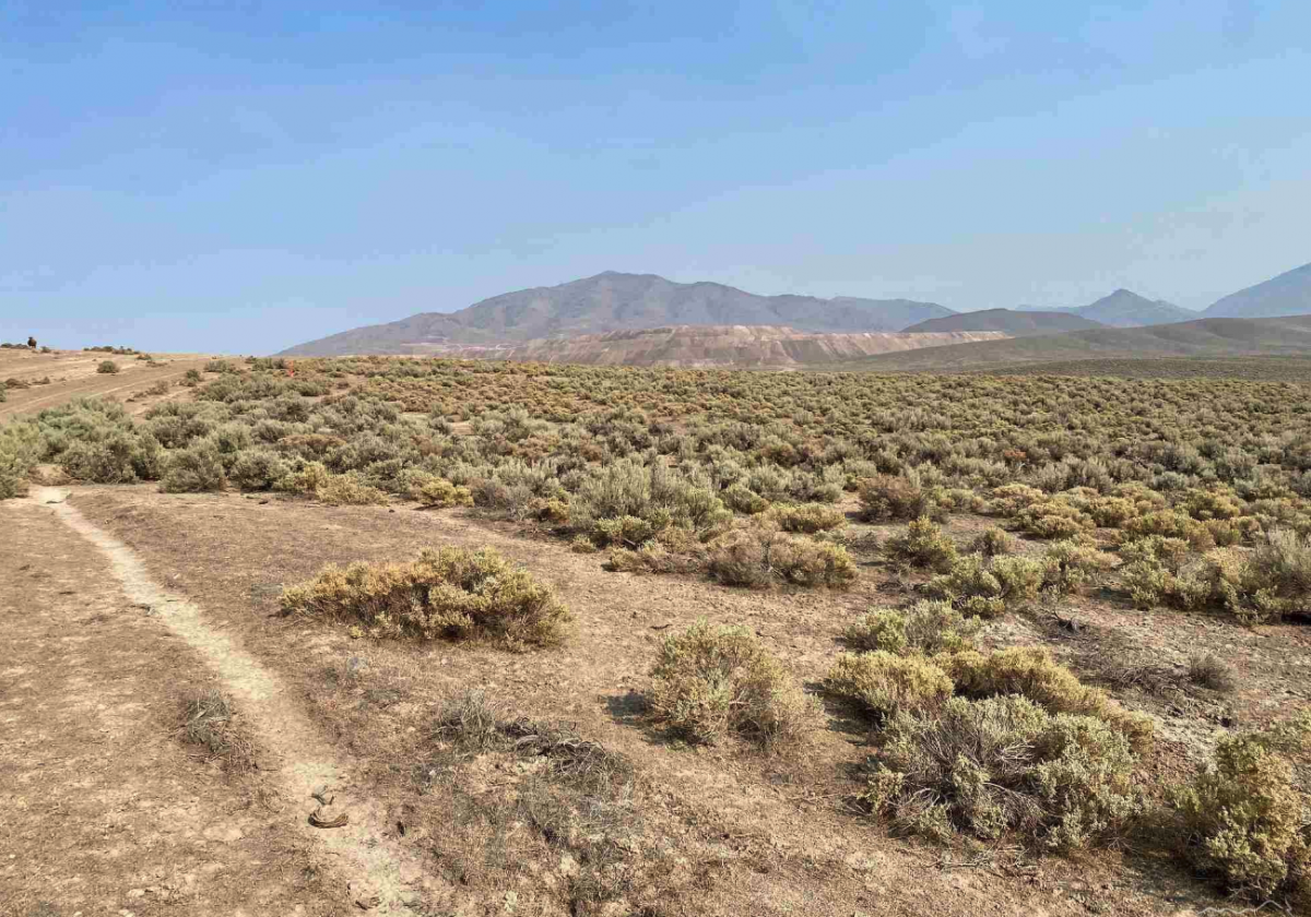 Picture of Residential Land For Sale in Valmy, Nevada, United States