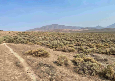 Residential Land For Sale in Valmy, Nevada