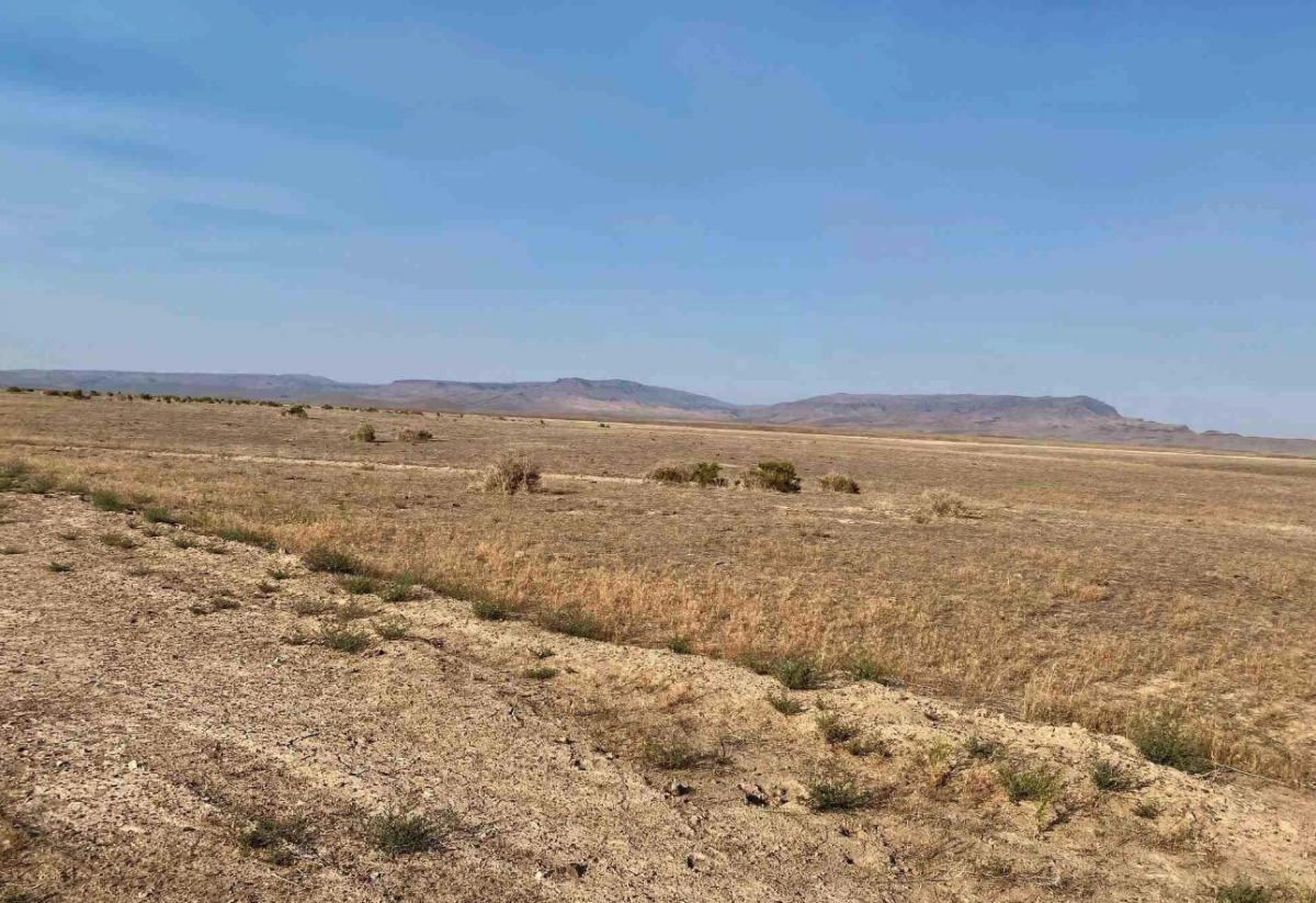 Picture of Residential Land For Sale in Golconda, Nevada, United States