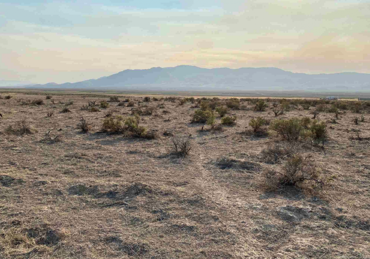 Picture of Residential Land For Sale in Golconda, Nevada, United States