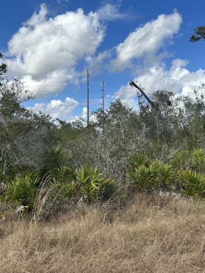 Residential Land For Sale in Lake Placid, Florida