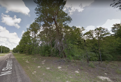 Residential Land For Sale in Citrus Springs, Florida