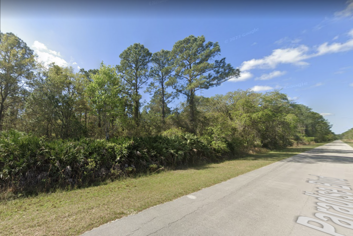 Picture of Residential Land For Sale in Georgetown, Florida, United States