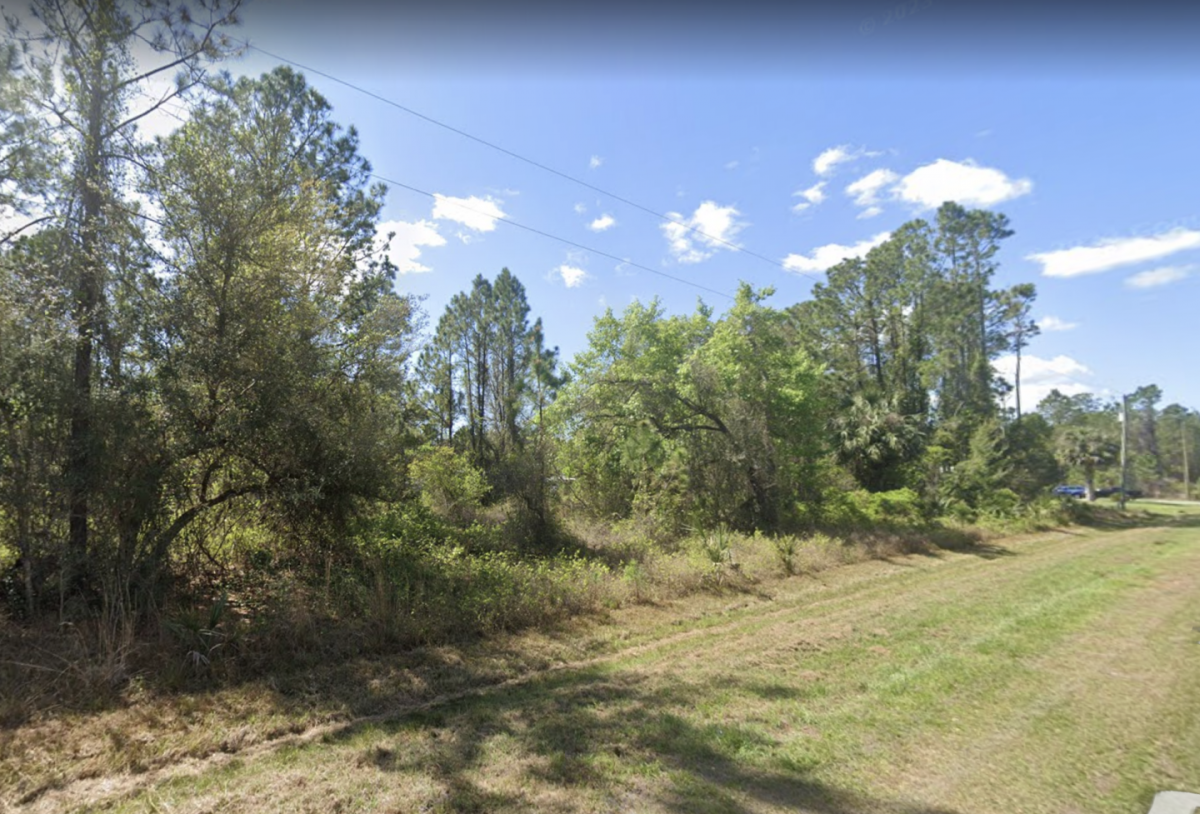 Picture of Residential Land For Sale in Georgetown, Florida, United States