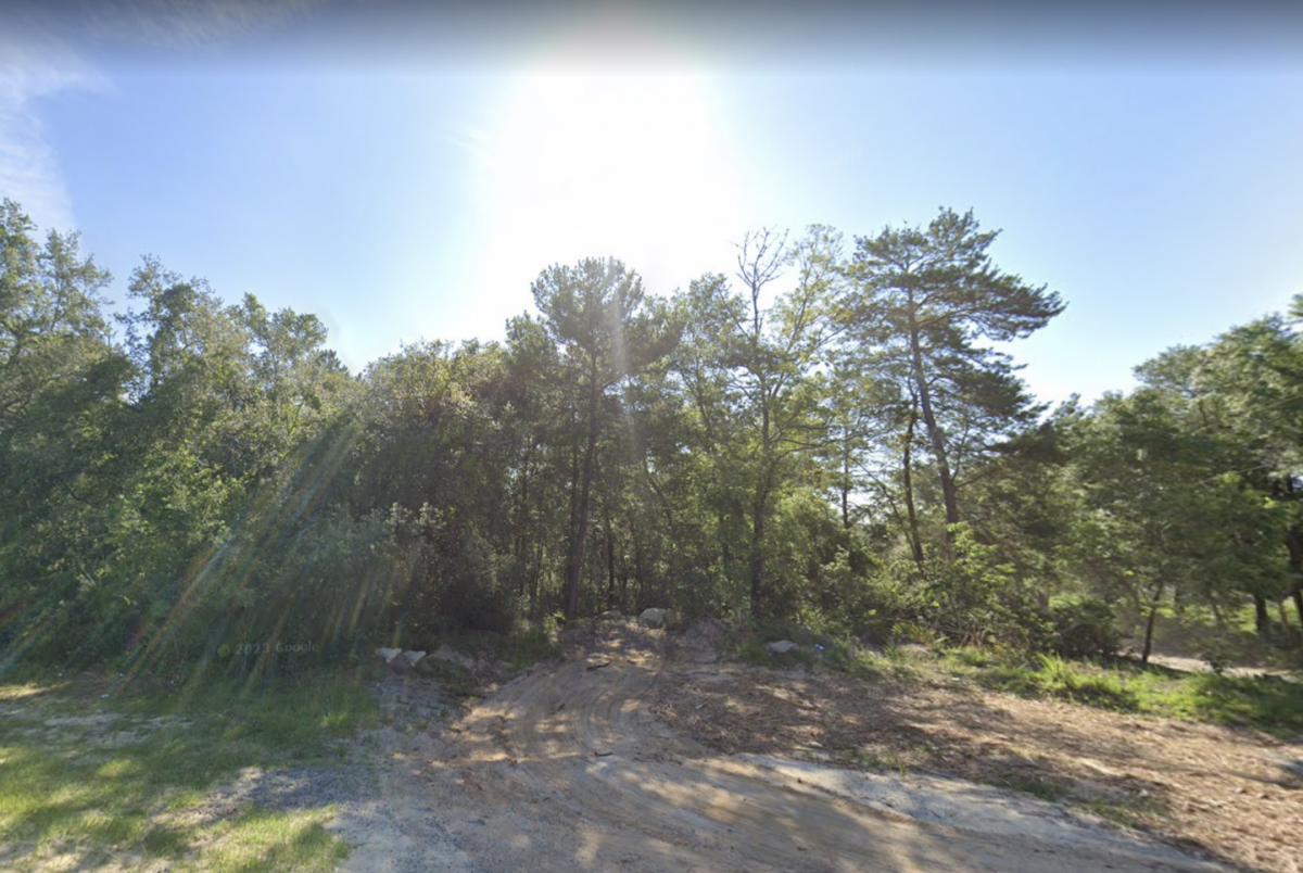 Picture of Residential Land For Sale in Umatilla, Florida, United States