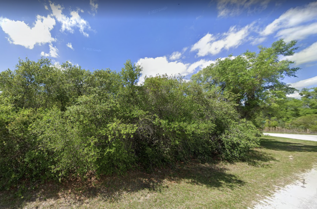 Picture of Residential Land For Sale in Fort Mccoy, Florida, United States