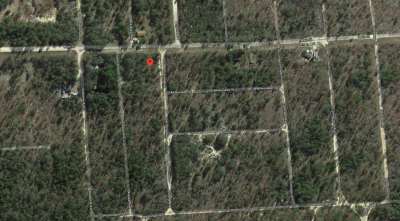 Residential Land For Sale in Hawthorne, Florida