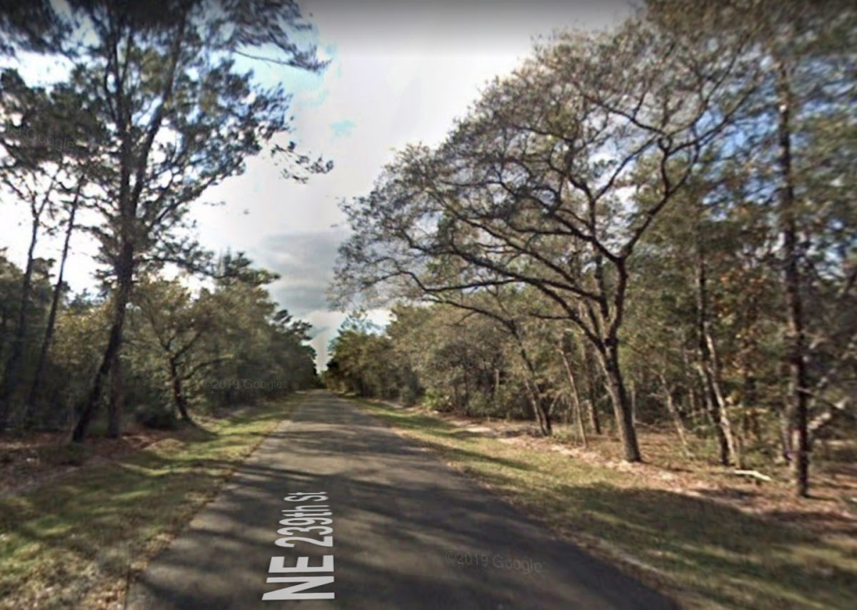 Picture of Residential Land For Sale in Fort Mccoy, Florida, United States