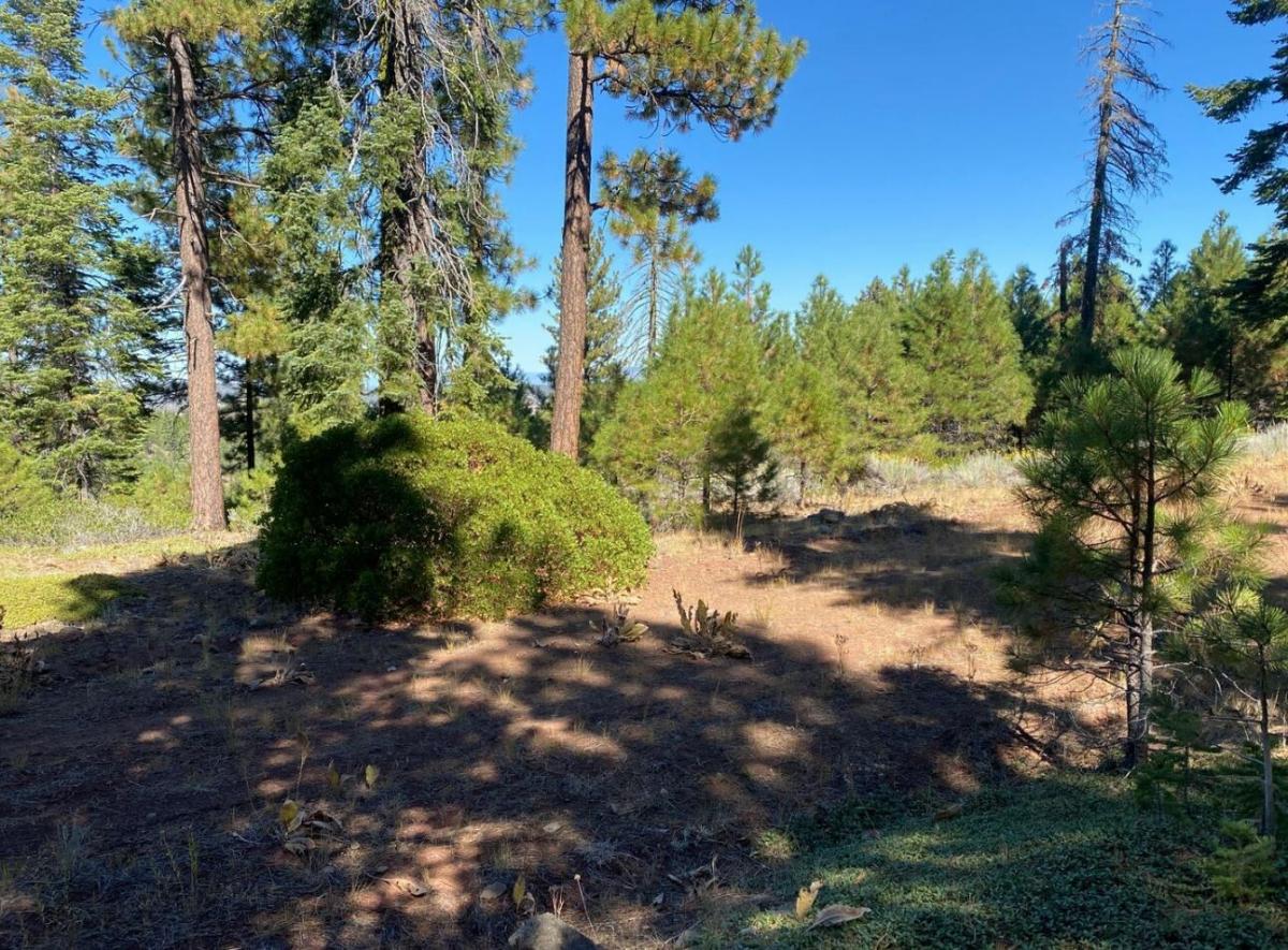 Picture of Residential Land For Sale in Alturas, California, United States