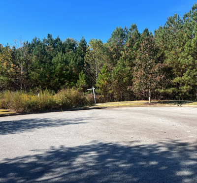 Residential Land For Sale in Buford, Georgia