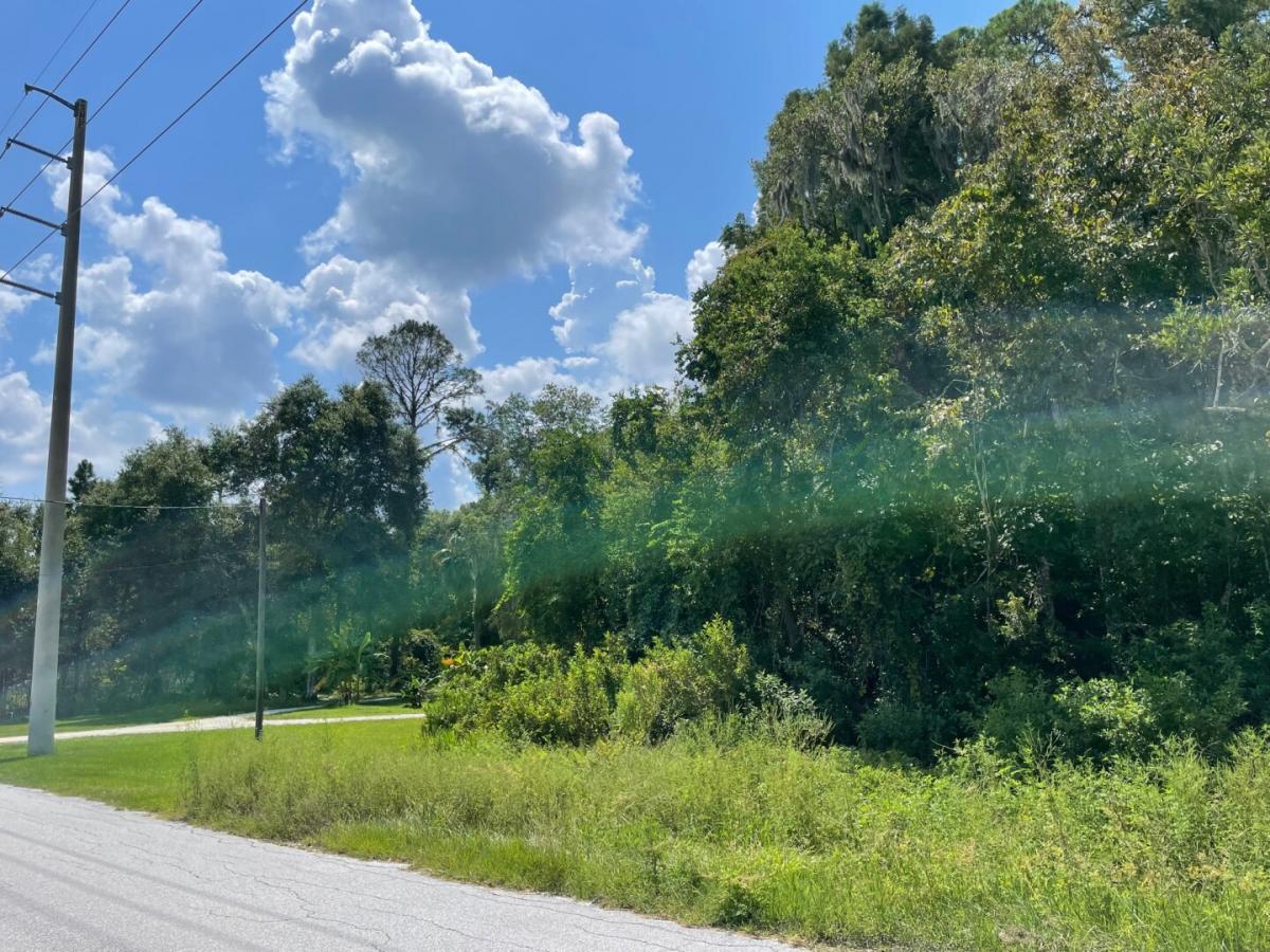 Picture of Residential Land For Sale in Leesburg, Florida, United States