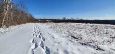 Residential Land For Sale in 